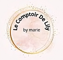LE COMPTOIR DE LILY BY MARIE